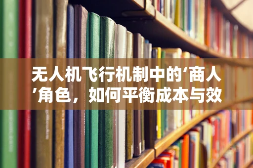无人机飞行机制中的‘商人’角色，如何平衡成本与效率？