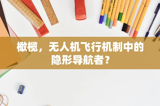 橄榄，无人机飞行机制中的隐形导航者？