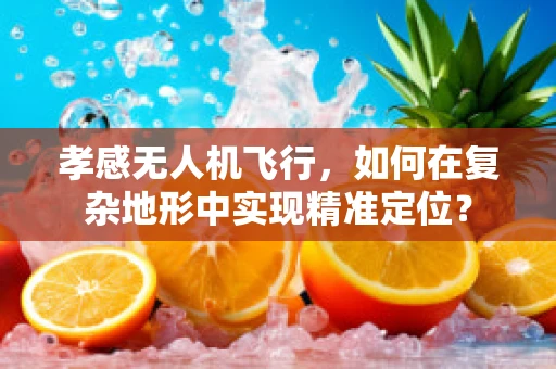 孝感无人机飞行，如何在复杂地形中实现精准定位？