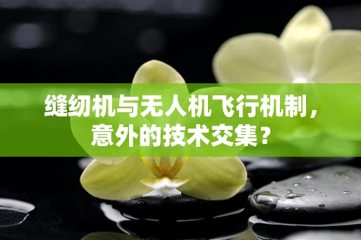 缝纫机与无人机飞行机制，意外的技术交集？