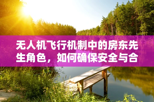 无人机飞行机制中的房东先生角色，如何确保安全与合规？
