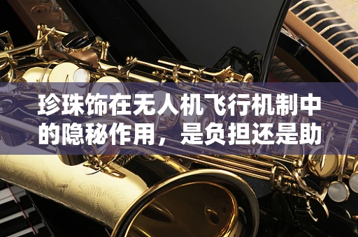 珍珠饰在无人机飞行机制中的隐秘作用，是负担还是助力？
