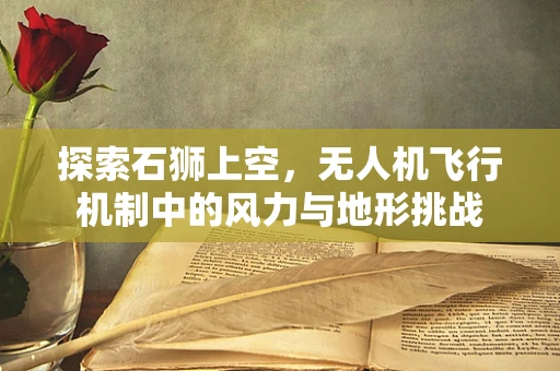 探索石狮上空，无人机飞行机制中的风力与地形挑战