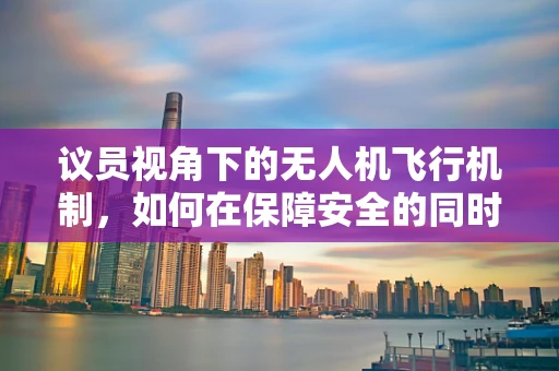 议员视角下的无人机飞行机制，如何在保障安全的同时促进政策创新？