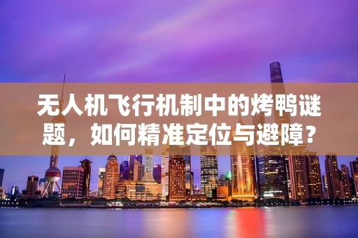 无人机飞行机制中的烤鸭谜题，如何精准定位与避障？