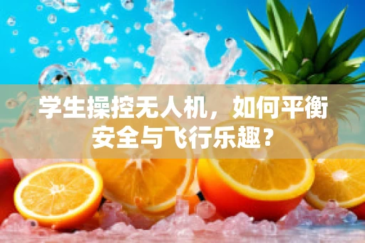 学生操控无人机，如何平衡安全与飞行乐趣？