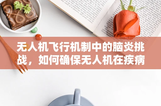 无人机飞行机制中的脑炎挑战，如何确保无人机在疾病高发环境中的安全飞行？