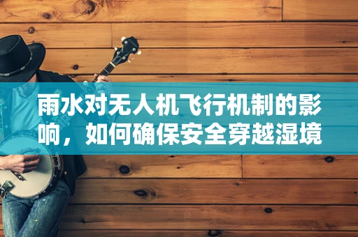 雨水对无人机飞行机制的影响，如何确保安全穿越湿境？