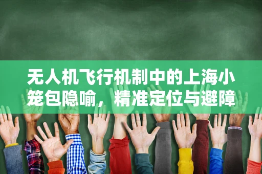 无人机飞行机制中的上海小笼包隐喻，精准定位与避障的挑战