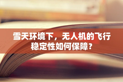 雪天环境下，无人机的飞行稳定性如何保障？