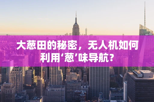 大葱田的秘密，无人机如何利用‘葱’味导航？