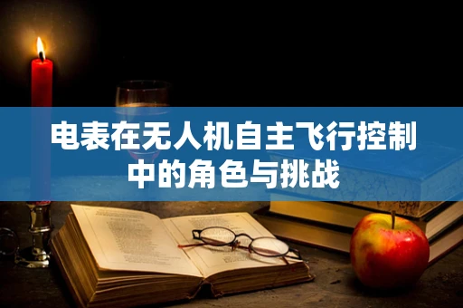 电表在无人机自主飞行控制中的角色与挑战