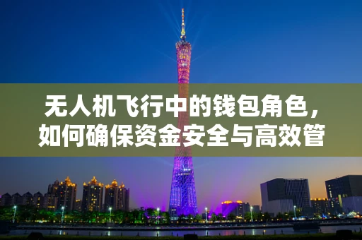 无人机飞行中的钱包角色，如何确保资金安全与高效管理？