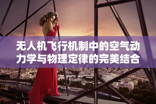 无人机飞行机制中的空气动力学与物理定律的完美结合