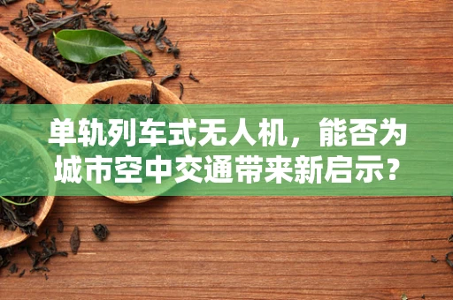 单轨列车式无人机，能否为城市空中交通带来新启示？