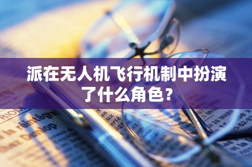 派在无人机飞行机制中扮演了什么角色？