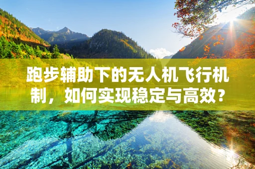 跑步辅助下的无人机飞行机制，如何实现稳定与高效？