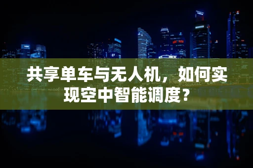 共享单车与无人机，如何实现空中智能调度？