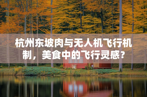 杭州东坡肉与无人机飞行机制，美食中的飞行灵感？