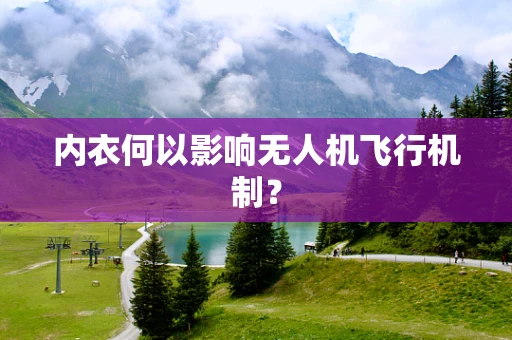内衣何以影响无人机飞行机制？
