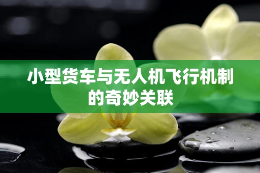 小型货车与无人机飞行机制的奇妙关联