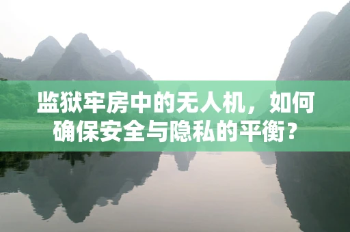 监狱牢房中的无人机，如何确保安全与隐私的平衡？