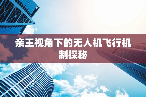 亲王视角下的无人机飞行机制探秘