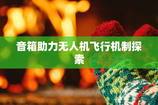 音箱助力无人机飞行机制探索