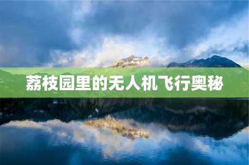 荔枝园里的无人机飞行奥秘