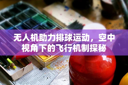 无人机助力排球运动，空中视角下的飞行机制探秘