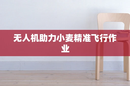 无人机助力小麦精准飞行作业