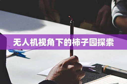无人机视角下的柿子园探索