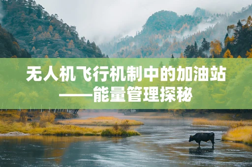 无人机飞行机制中的加油站——能量管理探秘