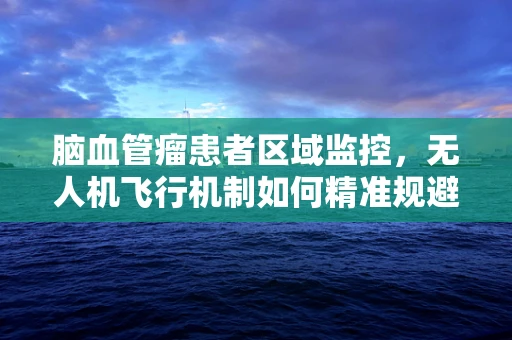 脑血管瘤患者区域监控，无人机飞行机制如何精准规避风险？