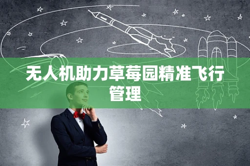 无人机助力草莓园精准飞行管理