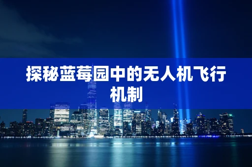 探秘蓝莓园中的无人机飞行机制