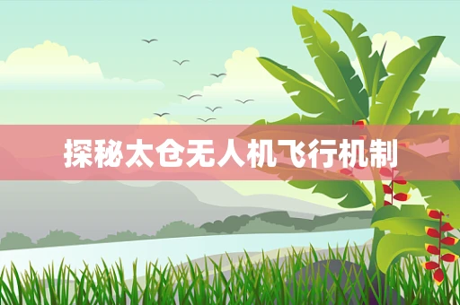 探秘太仓无人机飞行机制