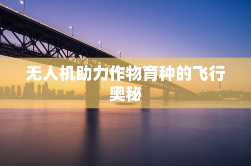 无人机助力作物育种的飞行奥秘