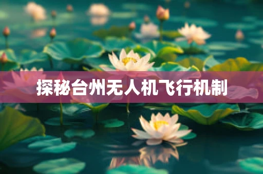 探秘台州无人机飞行机制