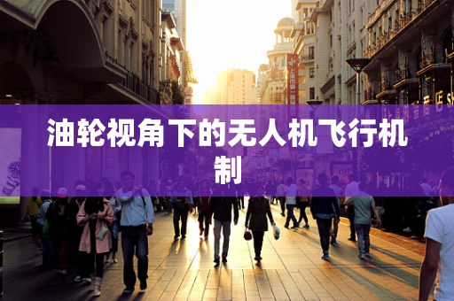 油轮视角下的无人机飞行机制