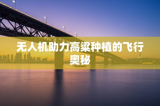 无人机助力高粱种植的飞行奥秘