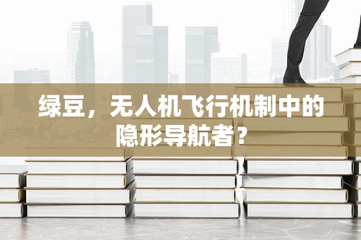 绿豆，无人机飞行机制中的隐形导航者？