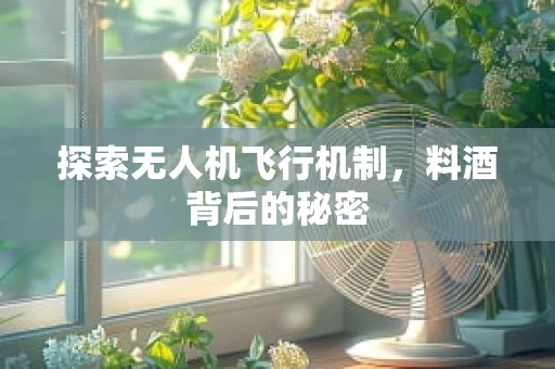 探索无人机飞行机制，料酒背后的秘密