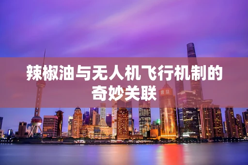 辣椒油与无人机飞行机制的奇妙关联
