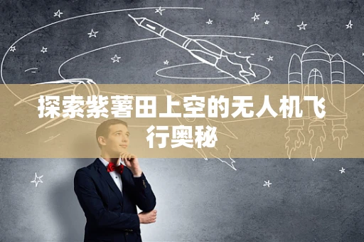 探索紫薯田上空的无人机飞行奥秘