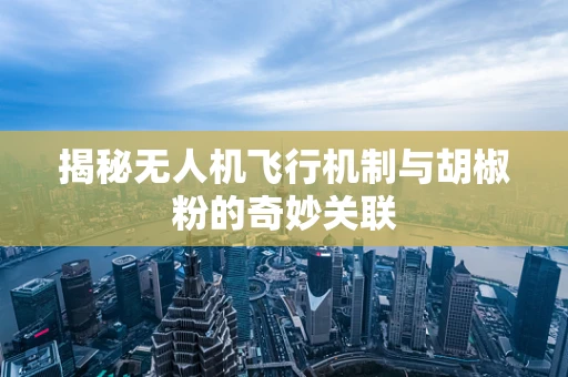 揭秘无人机飞行机制与胡椒粉的奇妙关联