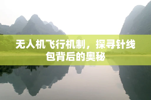 无人机飞行机制，探寻针线包背后的奥秘