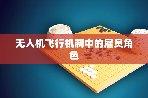 无人机飞行机制中的雇员角色