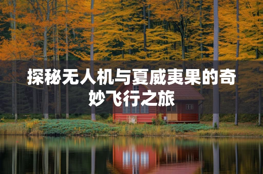探秘无人机与夏威夷果的奇妙飞行之旅