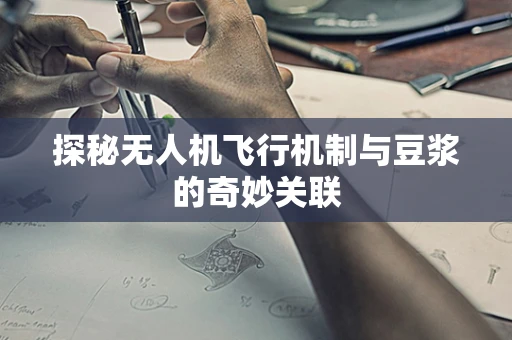 探秘无人机飞行机制与豆浆的奇妙关联